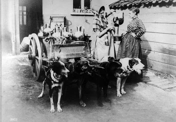 A Dogcart Selling Milk in Brussels